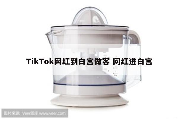 TikTok网红到白宫做客 网红进白宫