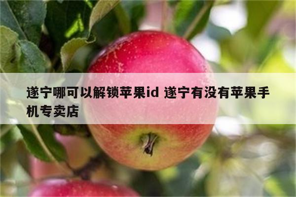 遂宁哪可以解锁苹果id 遂宁有没有苹果手机专卖店