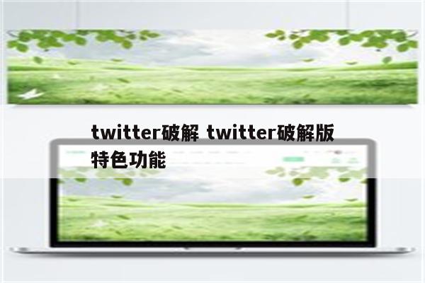 twitter破解 twitter破解版特色功能