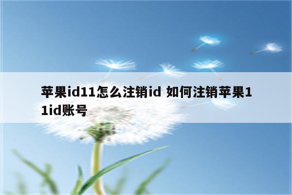 苹果id11怎么注销id 如何注销苹果11id账号