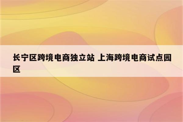 长宁区跨境电商独立站 上海跨境电商试点园区