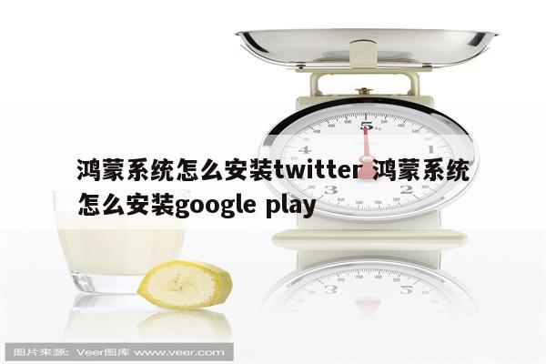 鸿蒙系统怎么安装twitter 鸿蒙系统怎么安装google play