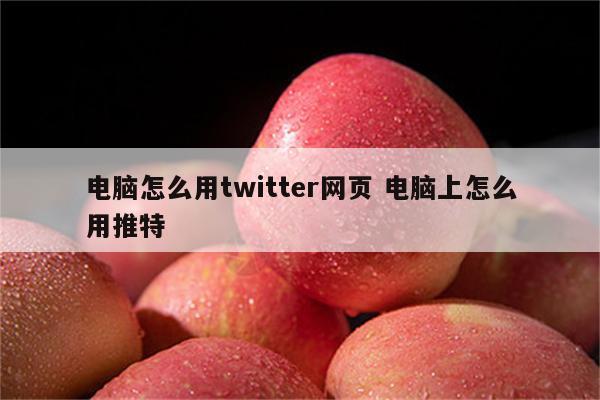 电脑怎么用twitter网页 电脑上怎么用推特