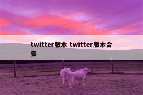 twitter版本 twitter版本合集