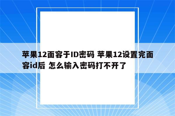 苹果12面容于ID密码 苹果12设置完面容id后 怎么输入密码打不开了