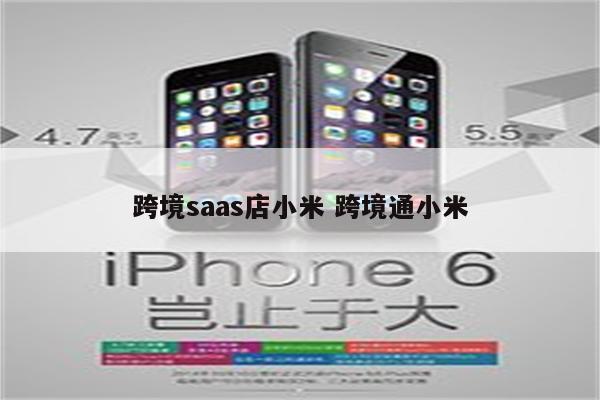 跨境saas店小米 跨境通小米