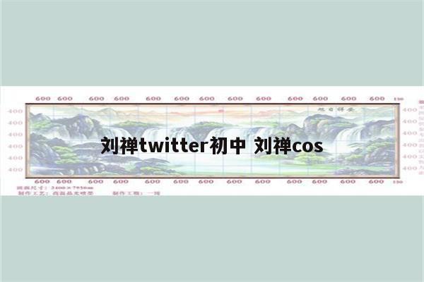 刘禅twitter初中 刘禅cos