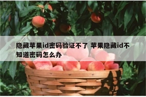 隐藏苹果id密码验证不了 苹果隐藏id不知道密码怎么办