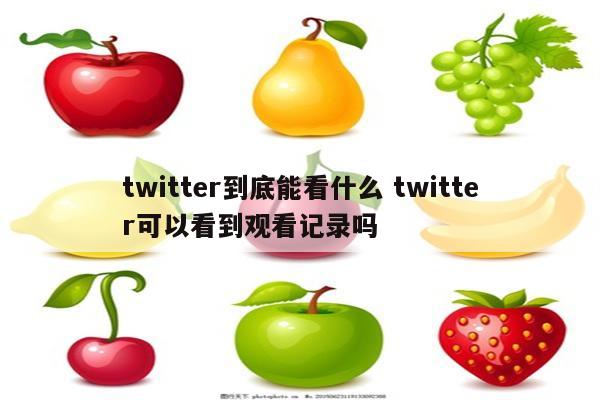 twitter到底能看什么 twitter可以看到观看记录吗