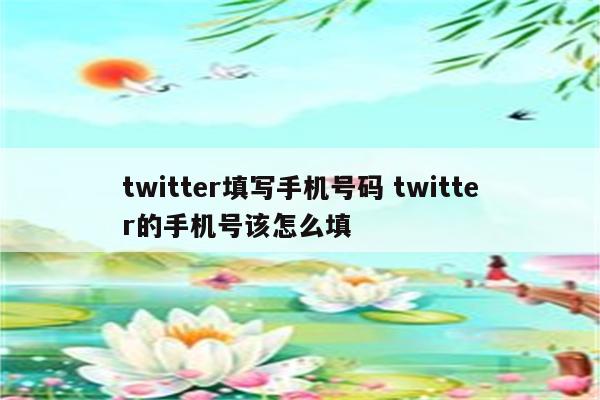 twitter填写手机号码 twitter的手机号该怎么填