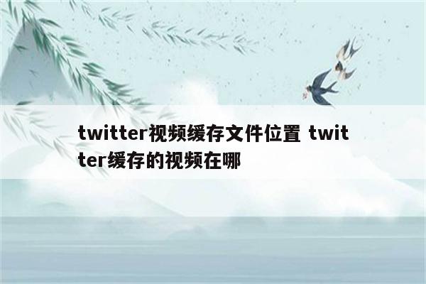 twitter视频缓存文件位置 twitter缓存的视频在哪