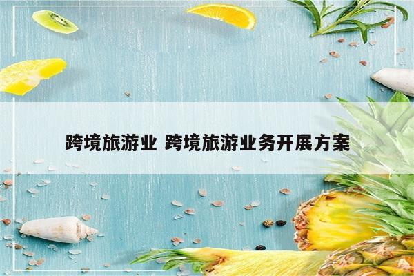 跨境旅游业 跨境旅游业务开展方案