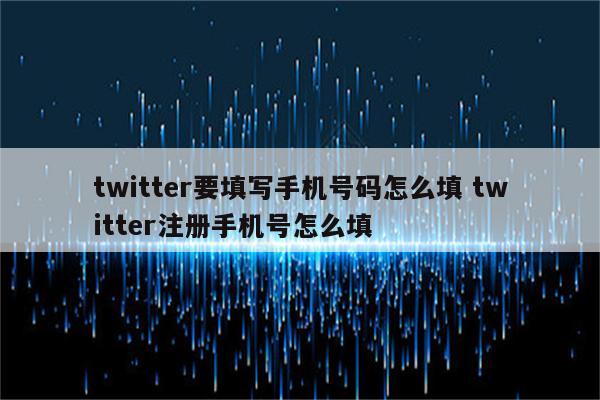 twitter要填写手机号码怎么填 twitter注册手机号怎么填