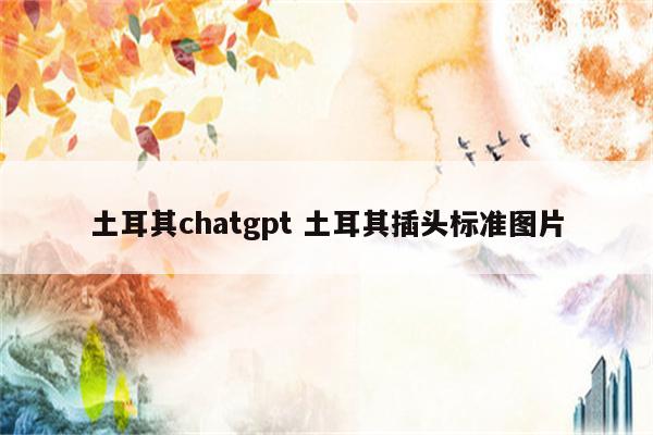 土耳其chatgpt 土耳其插头标准图片