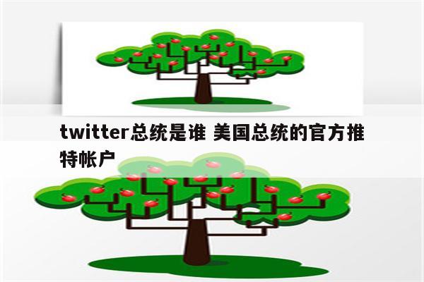 twitter总统是谁 美国总统的官方推特帐户