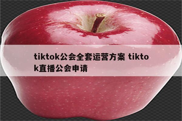 tiktok公会全套运营方案 tiktok直播公会申请