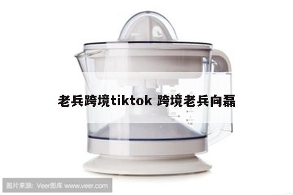 老兵跨境tiktok 跨境老兵向磊