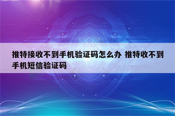 推特接收不到手机验证码怎么办 推特收不到手机短信验证码