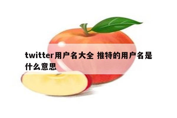 twitter用户名大全 推特的用户名是什么意思