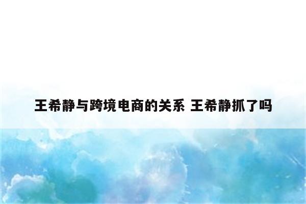 王希静与跨境电商的关系 王希静抓了吗