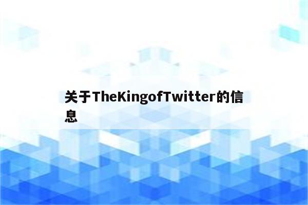 关于TheKingofTwitter的信息