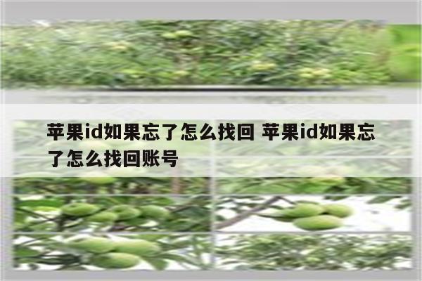 苹果id如果忘了怎么找回 苹果id如果忘了怎么找回账号