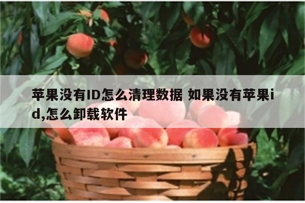 苹果没有ID怎么清理数据 如果没有苹果id,怎么卸载软件