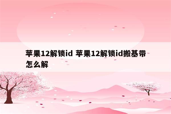 苹果12解锁id 苹果12解锁id搬基带怎么解