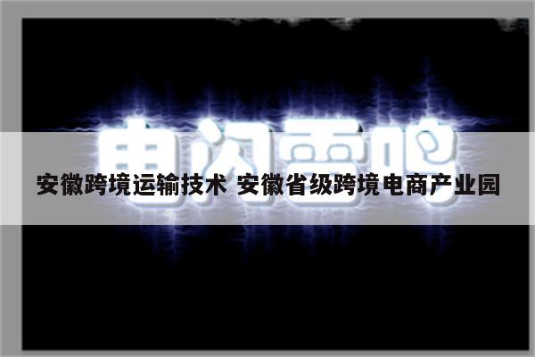 安徽跨境运输技术 安徽省级跨境电商产业园