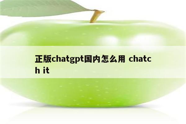 正版chatgpt国内怎么用 chatch it