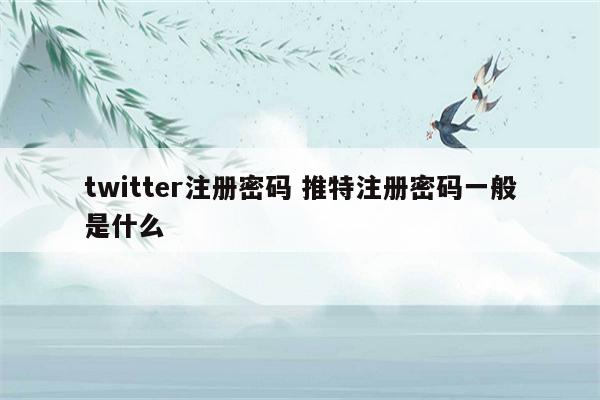 twitter注册密码 推特注册密码一般是什么