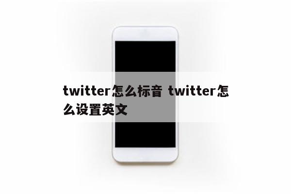 twitter怎么标音 twitter怎么设置英文