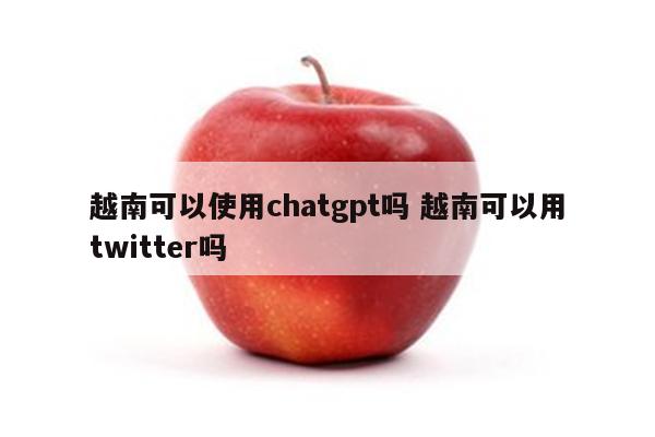 越南可以使用chatgpt吗 越南可以用twitter吗