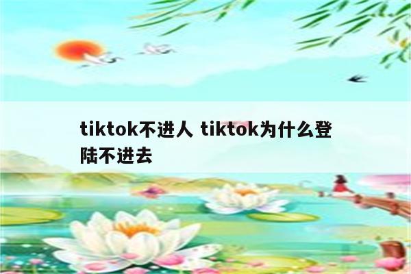 tiktok不进人 tiktok为什么登陆不进去