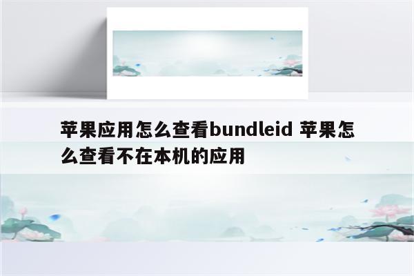 苹果应用怎么查看bundleid 苹果怎么查看不在本机的应用