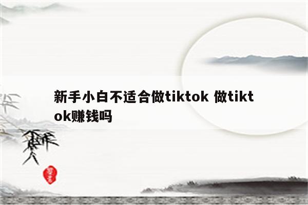 新手小白不适合做tiktok 做tiktok赚钱吗