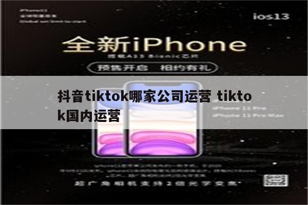 抖音tiktok哪家公司运营 tiktok国内运营