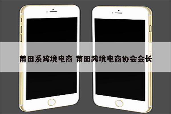 莆田系跨境电商 莆田跨境电商协会会长