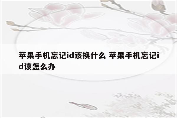 苹果手机忘记id该换什么 苹果手机忘记id该怎么办