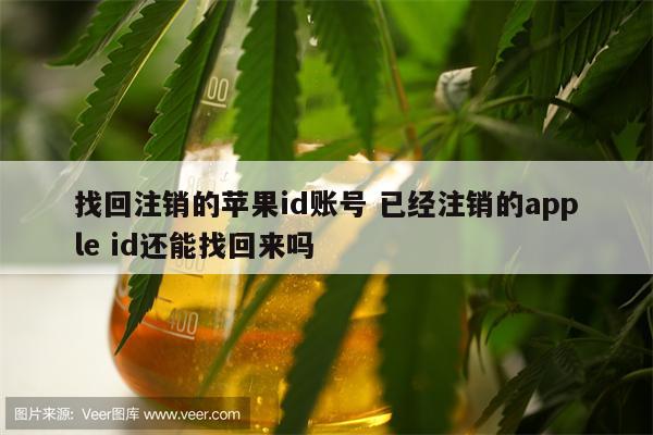找回注销的苹果id账号 已经注销的apple id还能找回来吗