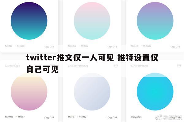 twitter推文仅一人可见 推特设置仅自己可见