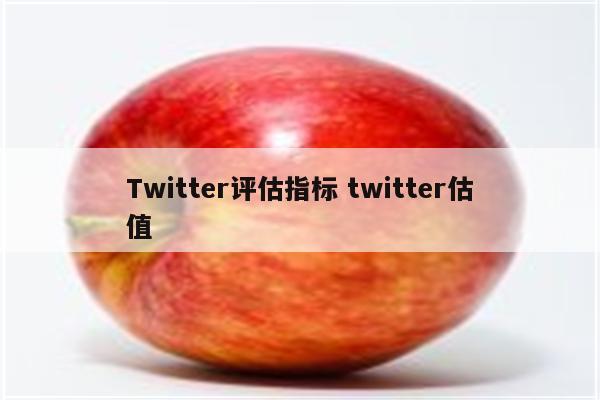 Twitter评估指标 twitter估值