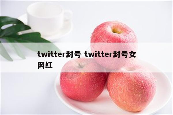 twitter封号 twitter封号女网红