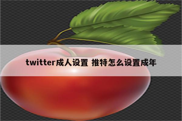 twitter成人设置 推特怎么设置成年