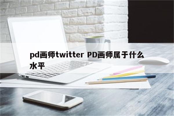 pd画师twitter PD画师属于什么水平