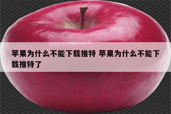 苹果为什么不能下载推特 苹果为什么不能下载推特了