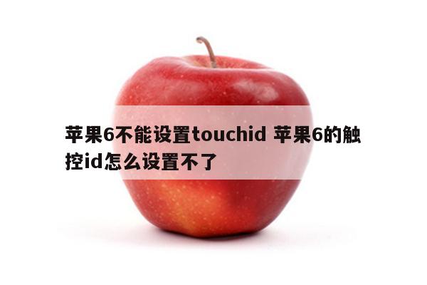 苹果6不能设置touchid 苹果6的触控id怎么设置不了