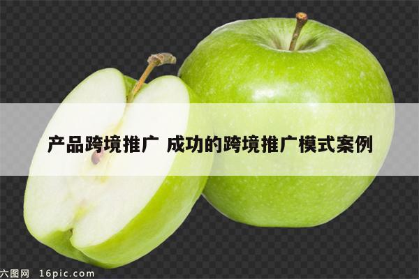 产品跨境推广 成功的跨境推广模式案例