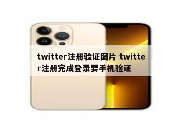 twitter注册验证图片 twitter注册完成登录要手机验证