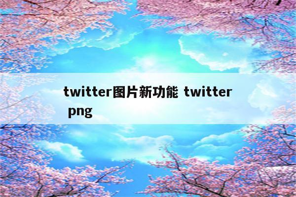 twitter图片新功能 twitter png